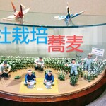 そば処 越前屋 - 