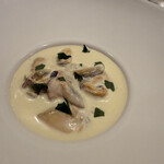 シャントレル - 