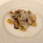 ペレグリーノ - フェトチーネ　ポルチーニ