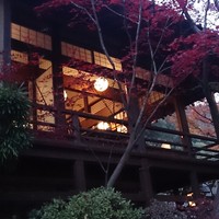 うかい鳥山 - きちんとした和風庭園、旅館に負けない佇まい