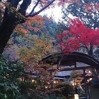 うかい鳥山 - 紅葉のシーズンが最高に綺麗です