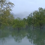 山形旬菓詩 武田 - 霧と雨