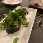 岡山料理専門店～cooking　of　art　Ikiya～ - 