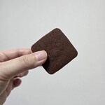 バニラビーンズ - 