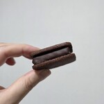 バニラビーンズ - 