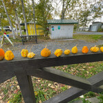 レークヒル・ファーム - 