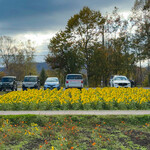 レークヒル・ファーム - 