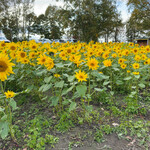 レークヒル・ファーム - 