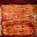 かぐら坂 志満金 - 