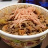 すき家 - 牛丼特盛ツユダク850円 おしんこセット150円