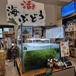 OKAGESAMA MOBA - 海ぶどう。