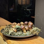 トレイス - この日の為に豊洲でかき集めてきました