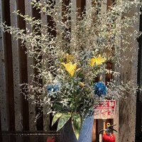 羅豚 ギンザ・グラッセ - 