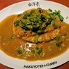 旨辛カレー専門店 白洋亭