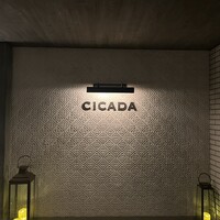 CICADA - 