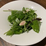 nope - パクチーサラダのハーフ