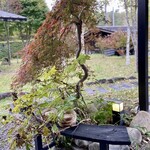 わらび野 - お庭