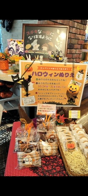 capital Shirukia Nara Ten photo 2