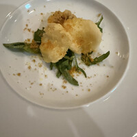 カーザ ヴィニタリア - 