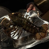 DINING & BAR TABLE 9 TOKYO - 