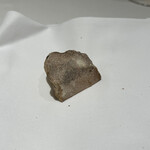 Ristorante Ecru - 白トリュフ