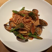 THE RIGOLETTO -  THE RIGOLETTO -