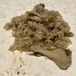 シャントレル - 