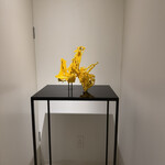 アグリスケープ - 