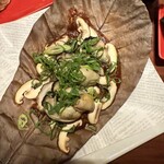 カーブ・ド・オイスター - 