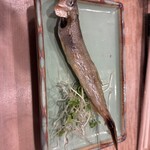 江戸前 京寿司 - 