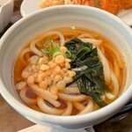 喫茶ぷりぷり - 日替わりランチ(わかめうどん)