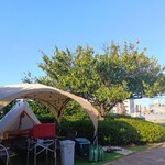 東京スカイツリータウンの庭 - 