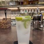 自家製レモンサワー・リキュール専門店Limon Salud - 