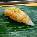 寿司処 やまざき - ぼたんえび