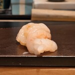 鮨 こしかわ - 甘海老昆布締め　握り