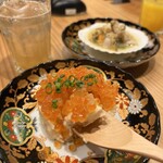 ネコにマタタビ - 