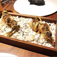 ル スプートニク - 