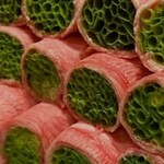 由乃 別邸 - 
