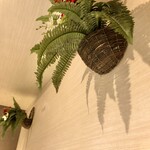 マーライオン - ✨店内2✨