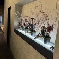 WAGYU PINFU -  WAGYU PINFU -