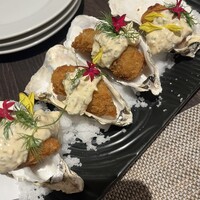 四ツ橋・新町 牡蠣と肉たらしビストロAKIRA - 