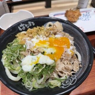 はなまるうどん_0