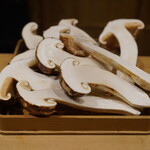 富小路 やま岸 - 