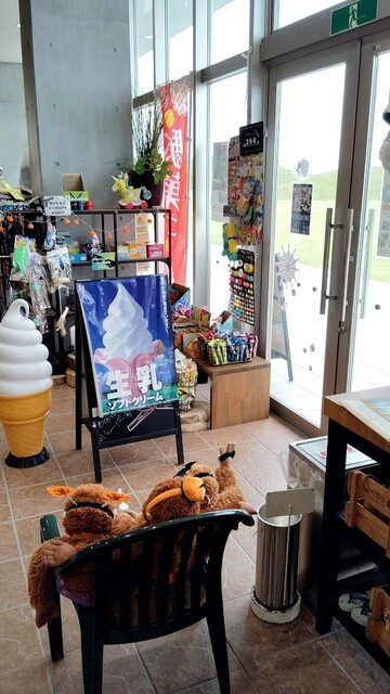 シンチレモネードスタンド（SHINCHI LEMONADE STAND） - 新地（カフェ）の写真