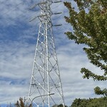 インデアンレストラン  ニューミラ - 送電線の鉄塔が真っ白に見えたり真っ黒に見えたりする季節^_^