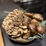 きたしんち 弓場慎之佑 - 