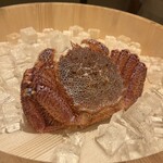 かにじぇんぬ　麻布 - 