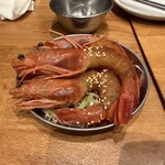 パクシクタン - 