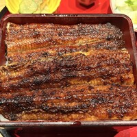 炭焼 うな富士 有楽町店 - 