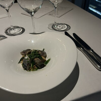 XEX TOKYO / Salvatore Cuomo Bros. - 